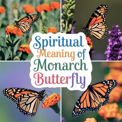 Butterfly Spiritual Meaning