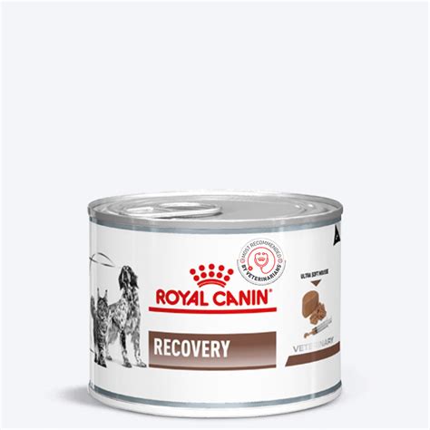 Royal Canin Veterinary Diet Recovery Canines & Felines Wet Food For Do ...