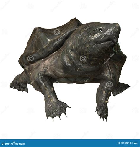 Image result for Alligator Snapping Turtle Cartoon