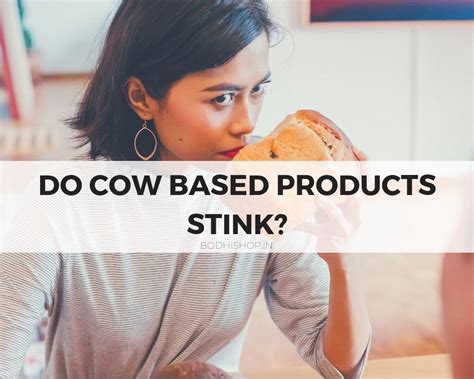 Do Cow dung and Cow urine based products stink? – Bodhishop.in