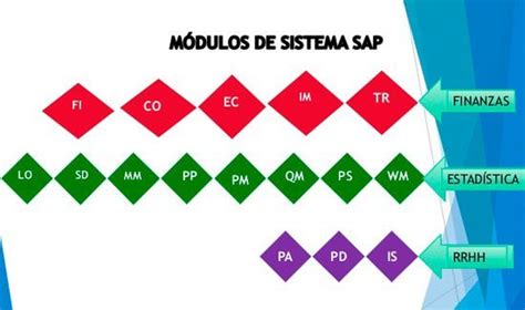 SAP R 3 Module 的图像结果