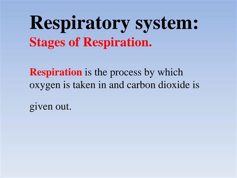 SOLUTION: Stages of respiration 2 - Studypool