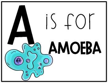 Science Alphabet 的图像结果