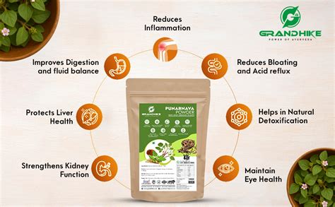 Grandhike Power of Ayurveda Organic Punarnava Powder | Boerhavia ...