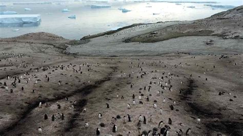 List of Countries In Antarctica Continent Territory