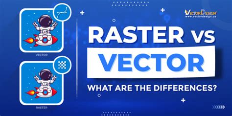 Image result for Raster vs Vector PNG
