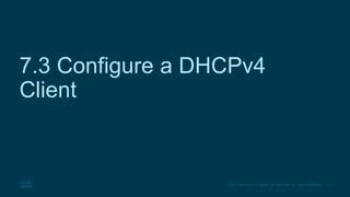 Image result for Module 7 DHCPv4