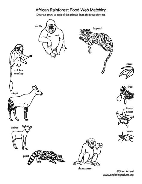 Food Plate Drawing at PaintingValley.com | Explore collection of Food Plate Drawing