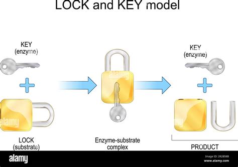 Image result for How Does a Key Lock Box Mechanism Work