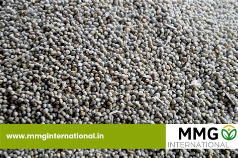 Explore the Finest Millets Products at MMG International Your Trusted ...