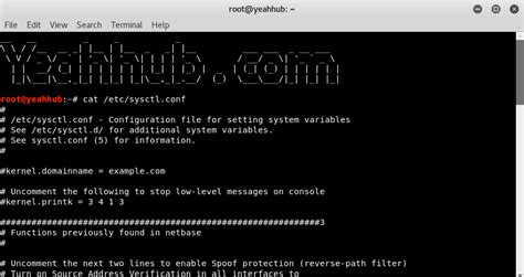 Linux System Reconnaissance [Top Linux Commands] - Yeah Hub