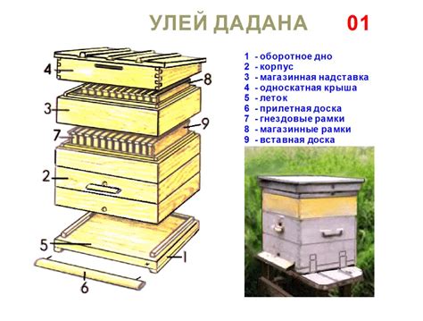 Чертежи улья дадан: размеры, особенности конструкции и изготовление ...