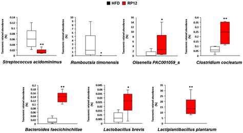 Anti-Obesity Effects and Changes of Fecal Microbiome by Lactic Acid ...