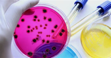 Food Testing | SGS India