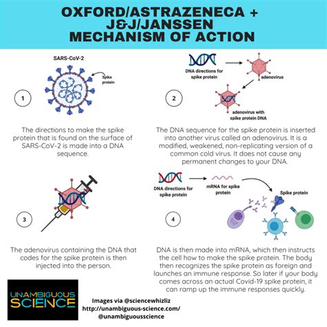 AstraZeneca/Oxford and Johnson&Johnson/Janssen Mechanism of Action – Unambiguous Science