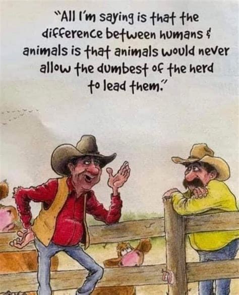 Identity Cartoon Image 的图像结果