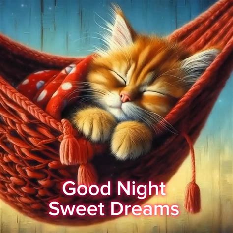 Goodnight Funny Images
