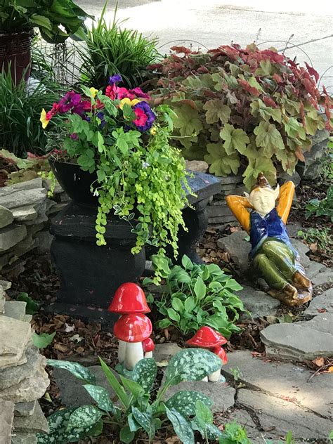 Celebrating Garden Gnomes