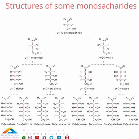 Structures of Some Monosaccharides