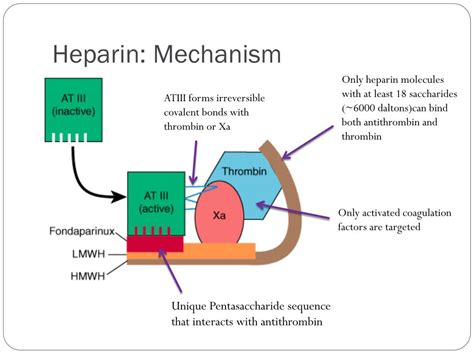 Image result for Heparin Problems