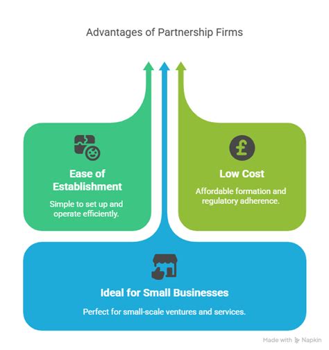 Limited Liability Partnership (LLP)
