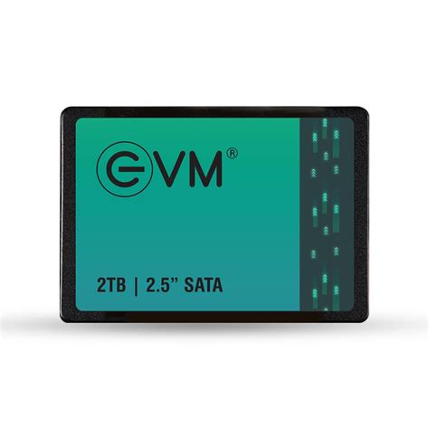 Amazon.in: Buy EVM 2TB 2.5-Inch SATA III Internal SSD – 550MB/s Read ...