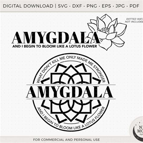 Buy Bts Shirt Online In India - Etsy India