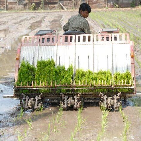 Image result for Rice Field Use Transplanter Machine