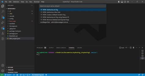 +Create iOS App Using React in Vscode 的图像结果