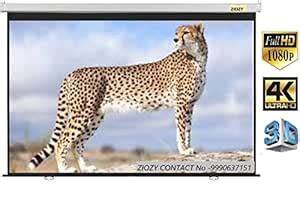 Ziozy Wall Type Pull Down Spring Action Projector Screen, Size: - 6 Ft ...