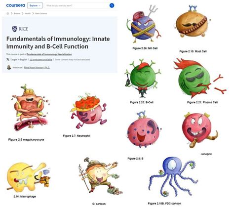 Biology Cartoon 的图像结果