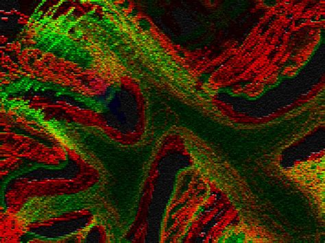 Alien Biology Screen 的图像结果