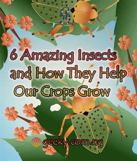 Image result for Insects Help Us How