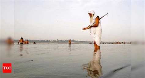 Ganga: Polluted Ganga has healing touch, thanks to viruses ...