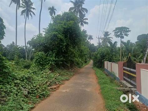 1 acre land kodanad chettinada - Lands & Plots - 1798190885