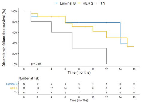 Heterogeneity of HER2 Expression in Circulating Tumor Cells of Patients ...