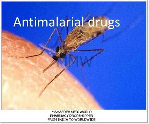 Anti Infective Drugs - Iverfast-12 Ivermectin 12mg Tablets Trader ...