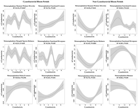 Cyanobacterial Blooms Increase Functional Diversity of Metazooplankton ...