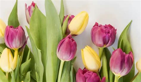 Becker-Dyer-Stanton Funeral Home