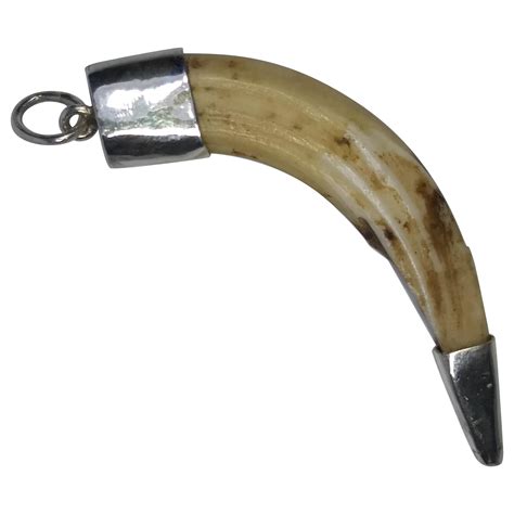 Alberto Juan Mexican Sterling Silver Wild Boar Tusk Pendant Charm For ...