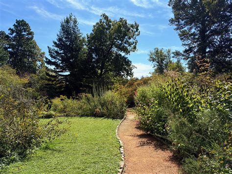 ‘A space to breathe:’ The Coker Arboretum’s enduring legacy - UNC Media Hub