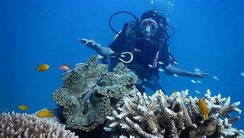 Scuba Diving In Turkey: 12 Spots For Fun Underwater Adventures In 2026