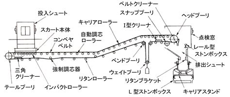 Image result for Classification Key Example