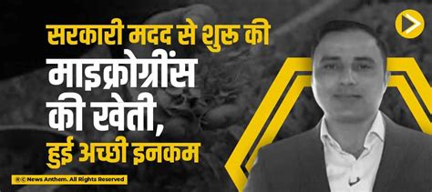 सरकारी मदद से शुरू की माइक्रोग्रींस की खेती, हुई अच्छी इनकम