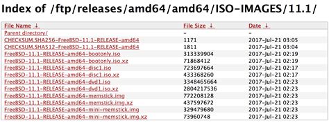 FreeBSD Tutorial Video 的图像结果