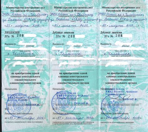 Разрешение на оружие: как получить в 2019 году, продление, стоимость