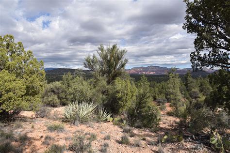 Arizona Hiking: LIME KILN TRAIL: DEER PASS TRAILHEAD TO RED ROCK STATE PARK