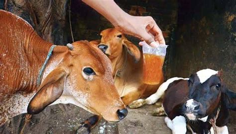 ಮಹಾನಾಯಕ