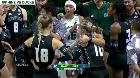 Hawaii Wahine Volleyball, UH vs Oregon Ducks, Dec 1, 2023 (NCAA ...