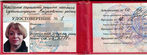 Органы опеки и попечительства: кто это, чем занимаются, полномочия